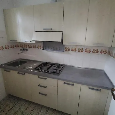 Michelangelo * ביביונה