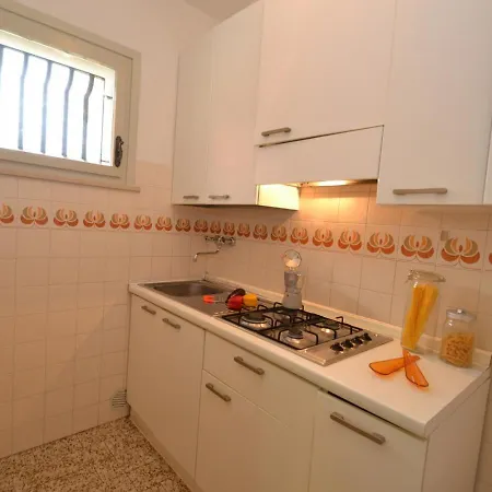 Michelangelo ביביונה